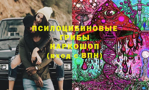 кокс Каменногорск