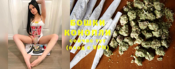 соль ск Касимов